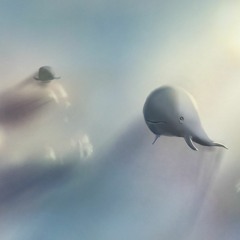 고래의 눈물(The Tear Of Whale) - 고래등오거리