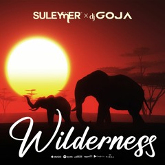 Suleymer X Dj Goja - Wilderness (Official Single)