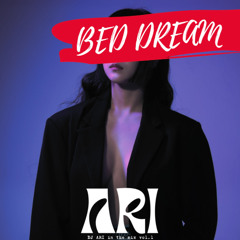 BED DREAM : DJ ARI IN THE MIX vol.1