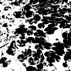 STE-006 - Cosmetic Plague 100422