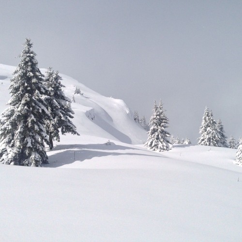 Skibeat_8