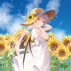 Sun Recall