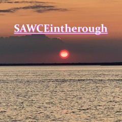 SAWCEintherough (brakence cover)