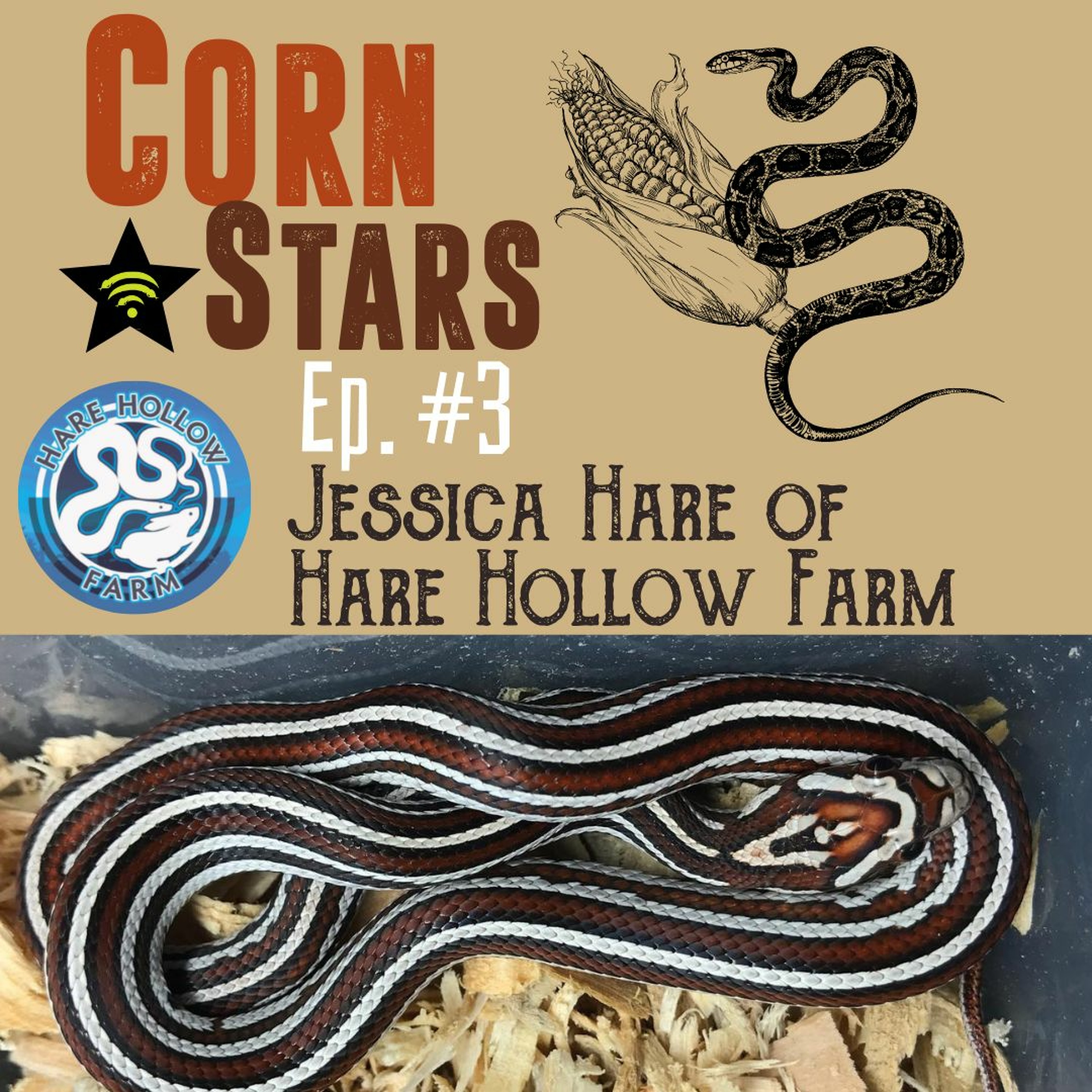 CornStars Ep. 3 - Jessica Hare of Hare Hollow Farm