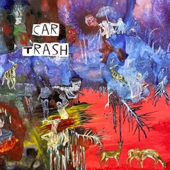 Car Trash