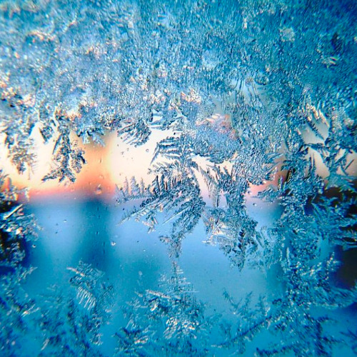 Frozen Brain
