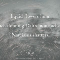 Liquid Flowers Shatter - (naviarhaiku - 568)