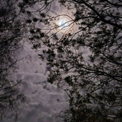 Fixate - Jungle Mashup