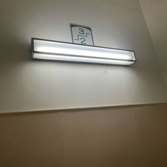 何回でも