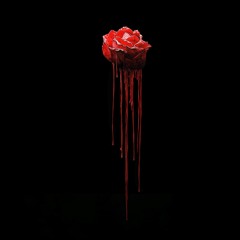 Rok Nardin - Rose (feat. ZALI)