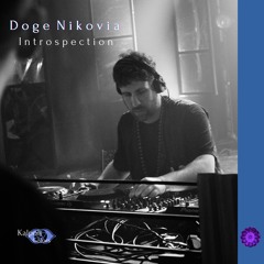 Doge Nikovia - Introspection