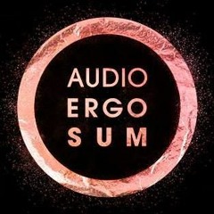 AudioID Podcast by Andreas Kreutz '23