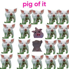 PIG OF IT
