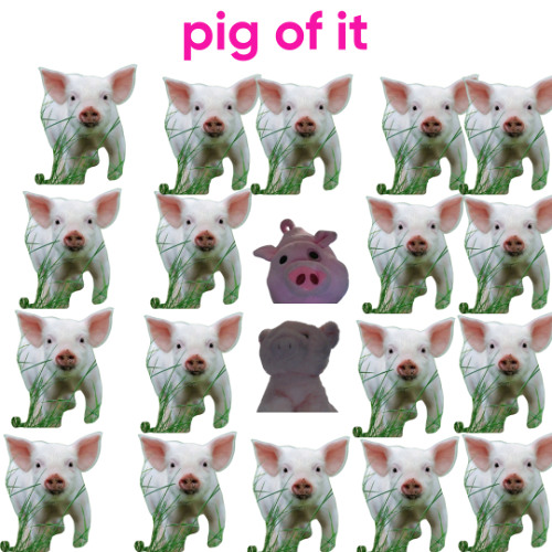 PIG OF IT