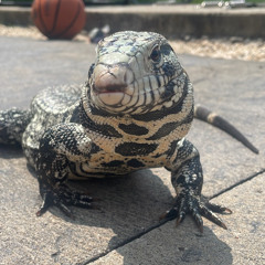 Lethal (prod. jean parker)