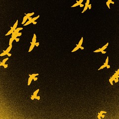 birdz n planez (feat. sectiontoo)