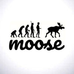 moose - troof