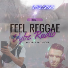 Live Mix The Feel Reggae Vybz -Ya-diel Cr Evolution Crew Tiquicia Reggae 506