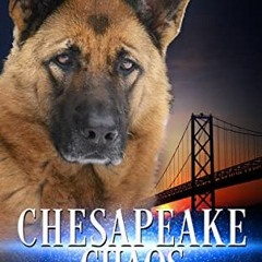 [READ] EBOOK 🎯 Chesapeake Chaos: Book 10 in The Jerry McNeal Series (A Paranormal Sn