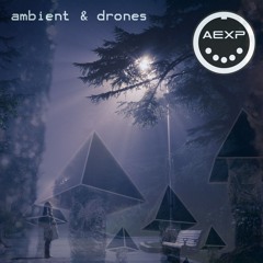 Ambient & Electronica 2024 - After Party  Chill Out - (Selected by Analog Experience)