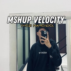 Mshup Velocity