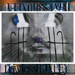 flawlessHUXLEY: The Kitten Yer Never Hittin’