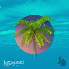 Joshua Milo - SUMMER AFFAIR