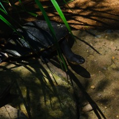 V:SONNTAG @Watergate Opening, Berlin 02.11.24