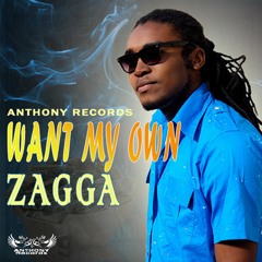 Zagga - Want My Own