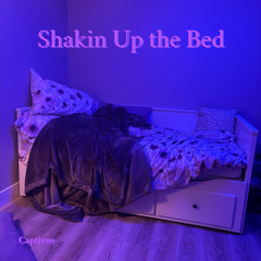 Shakin Up the Bed (fl0wzy)