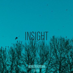 Insight - Alireza Roostaii