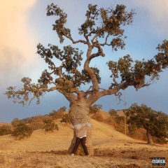 CjayQ - Castle In The Sky