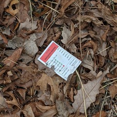 Epitaph interlude 2.mp3