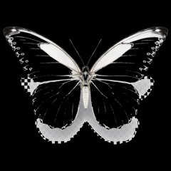 Neurotronik (Acid Mix) - Supported an played by Tiësto