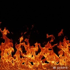 RevDubz | POLY2023Spain | OSTENDE