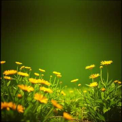 Dj.DamianR - W Ogrodzie Oblubieńca (Św. Jan od Krzyża)