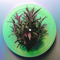 0. MALAYSIA Ep Live ORCHESTRA