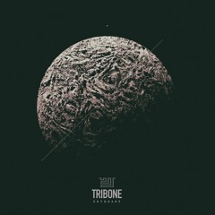 TRIBONE - Skyquake