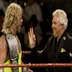 GFA Live #247: WWF Superstars 05-19-1990 (Perfect wins IC title tourney)