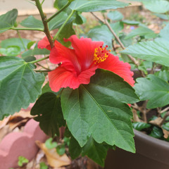 everything is possible - 5_7_24, 9.37 PM