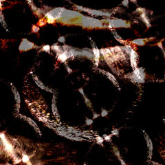 A Skin Handler Inn (disquiet0729)