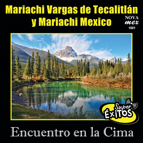 Stream El Tonto De La Colina (Instrumental) by Mariachi Vargas de  Tecalitlán | Listen online for free on SoundCloud