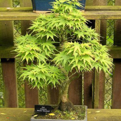 В этой траве (remix by xs)