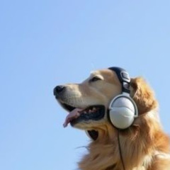 YOU GOT MY ## HOUSE EDIT