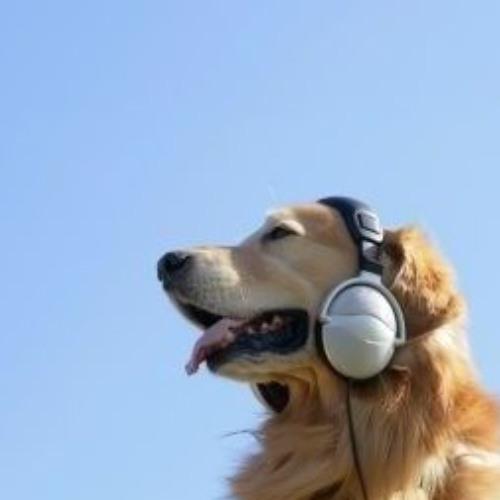 YOU GOT MY ## HOUSE EDIT