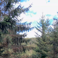 OctaveOrange- The Eternal Forge