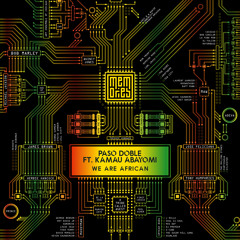 We Are African (feat. Kamau Abayomi)