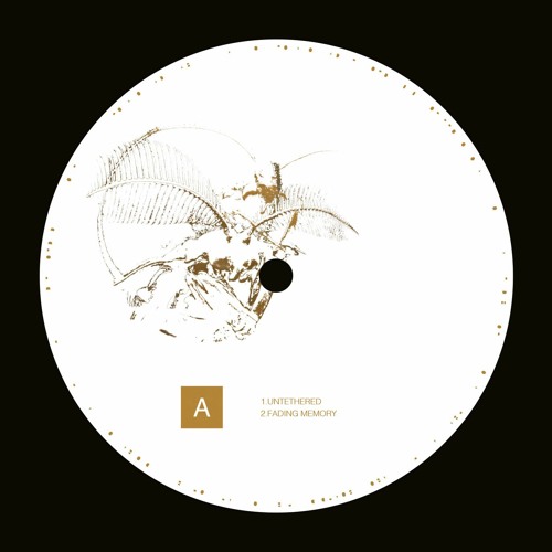 PREMIERE: YS - Fading Memory [Pace Yourself]