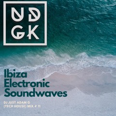 Ibiza Electronic Soundwaves On UDGK Radio (Tech House) Mix # 11