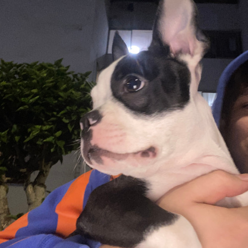 17/09